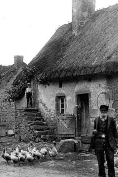 France 1900 Progrès et contradictions économiques